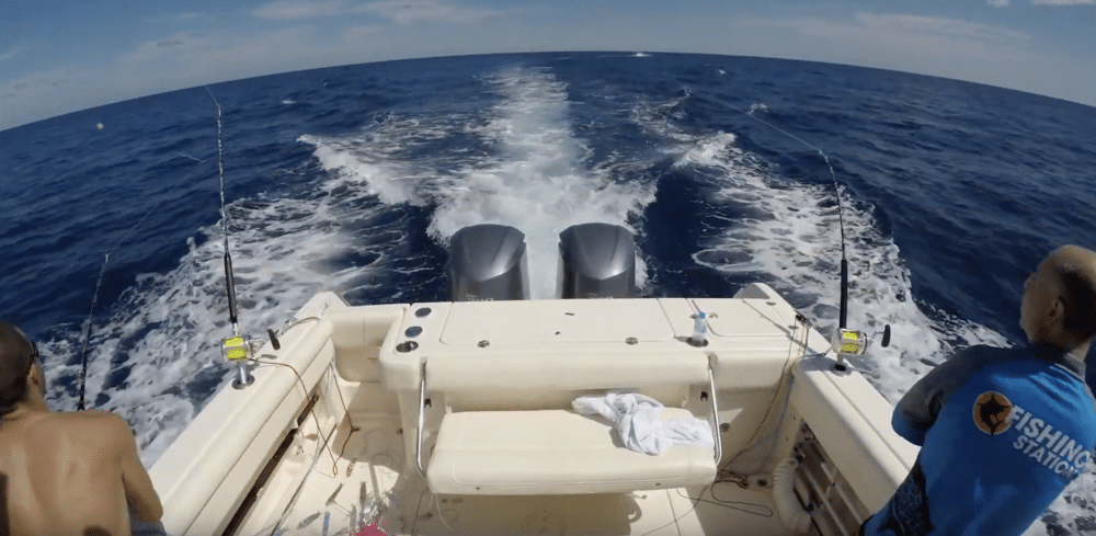 Must Watch: Blue Marlin Vs Grady-White 300 Marlin!