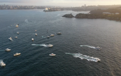 The Short Marine 2021 Shootout – A Day of Grady-White’s, Fishing and Fun out of Sydney