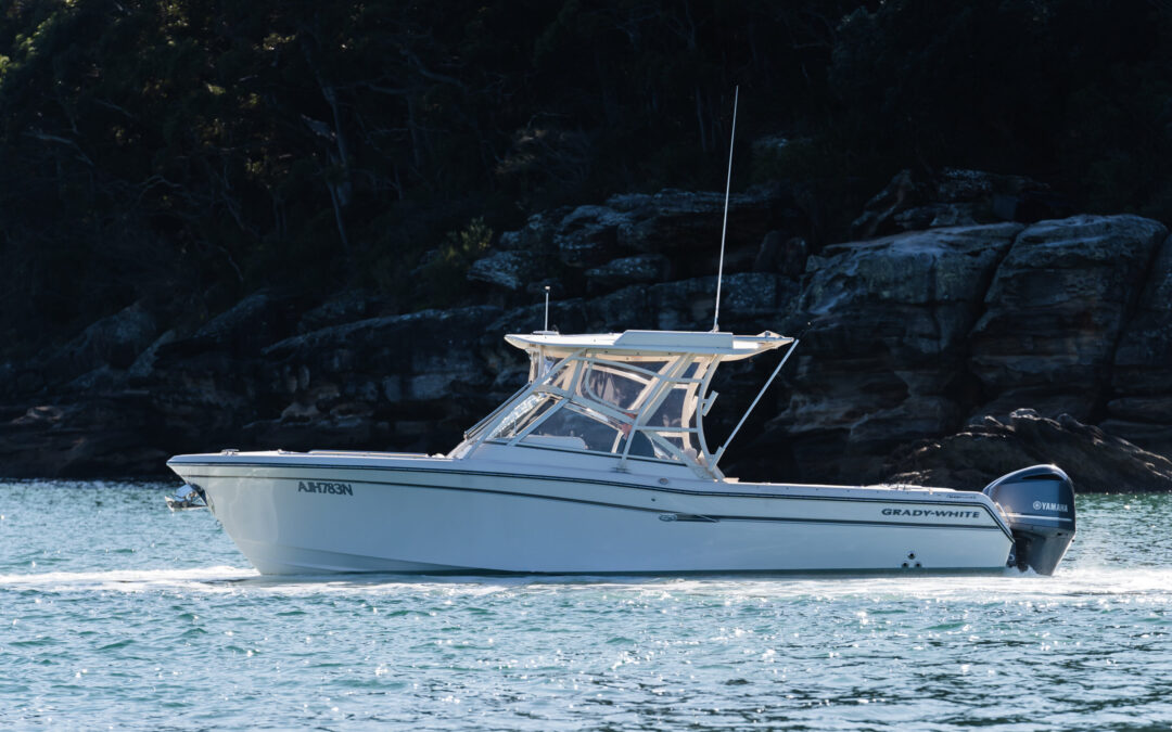 GRADY-WHITE FREEDOM 285
